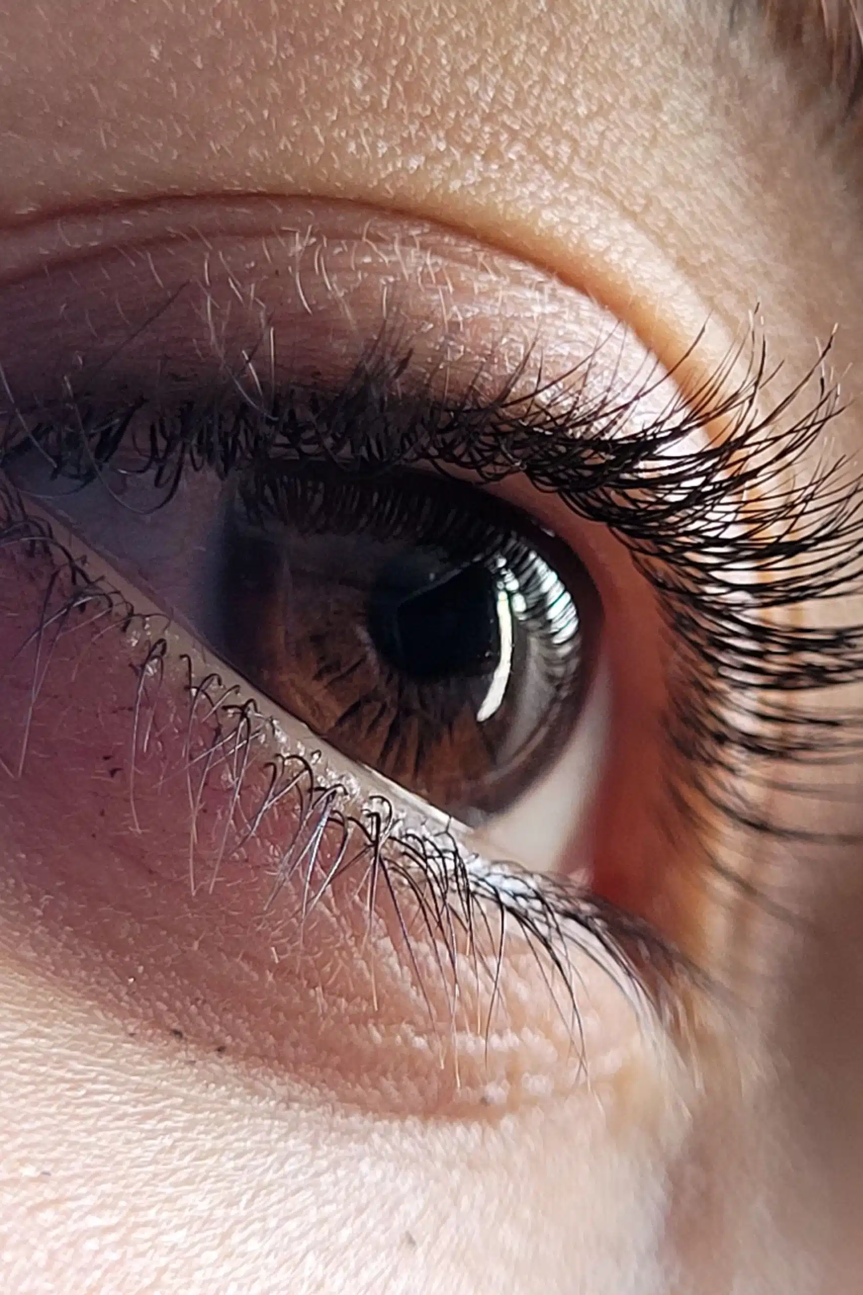 fond lash lift